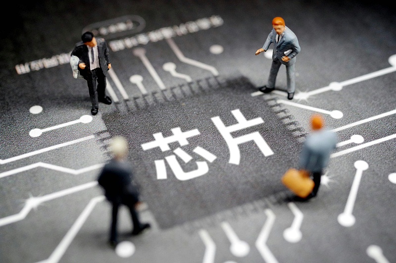 芯片相当于人的什么器官? 芯片相当于人的什么器官?
