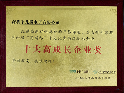十大高成长企业奖