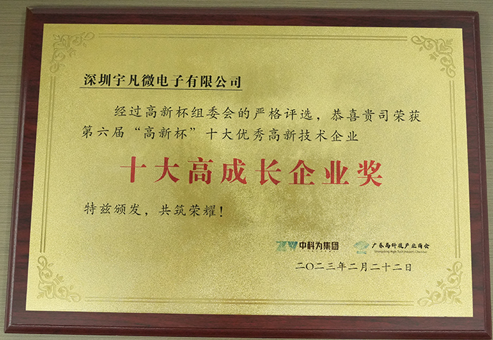 十大高成长企业奖