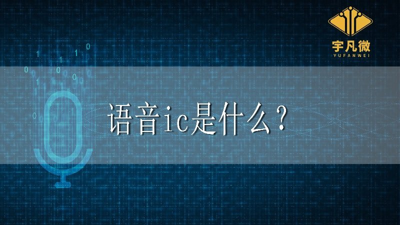 语音ic是什么？